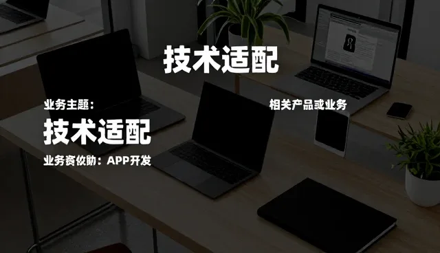 技术适配中的常见问题与实际解决策略